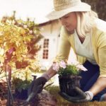 Plant Estrogens and Skin Aging